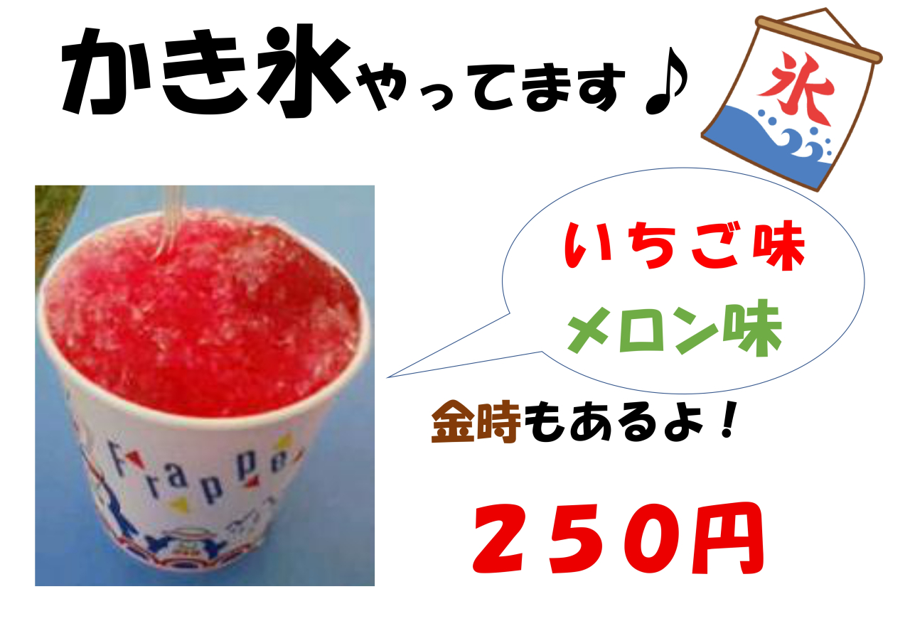 かき氷横_page-0001